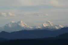 IMG_0733