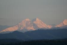 IMG_0732
