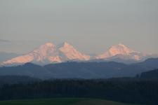 IMG_0728